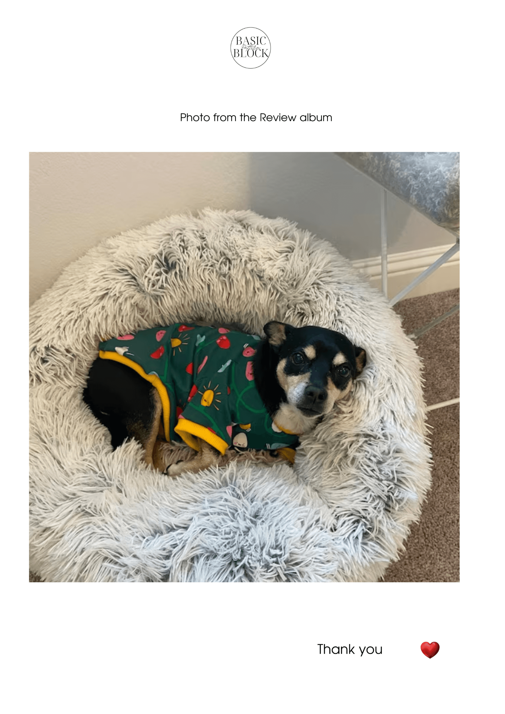 Dog Raglan Sweater | Sewing Pattern | XS-3XL | Knitted - Basic Pattern Block