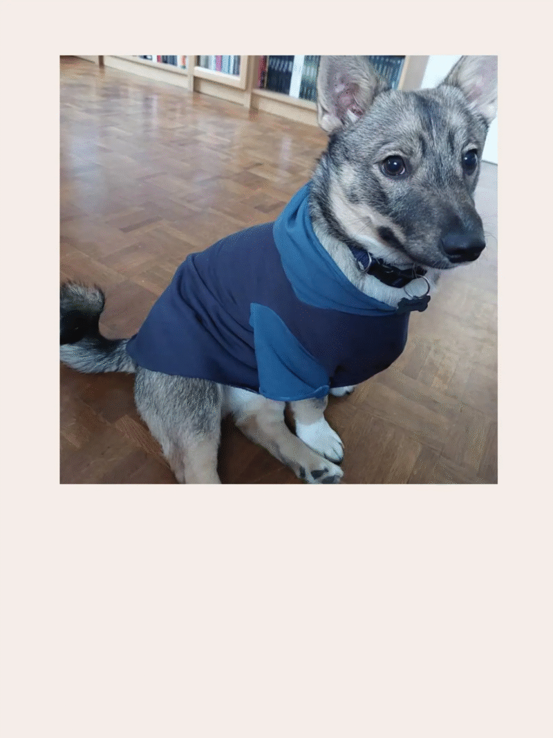 Dog Hoodie | Sewing Pattern | XS-3XL | Knitted - Image 9