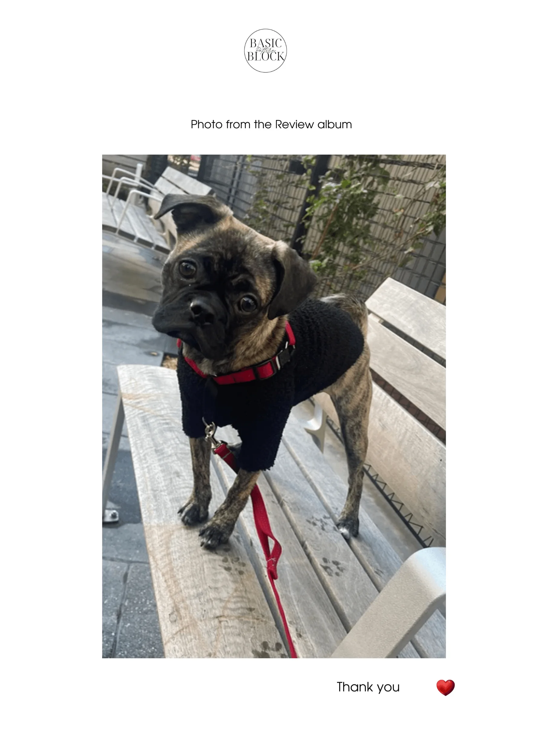 Dog Crewneck T-shirt Sewing Pattern | Knitted | XS-3XL - Basic Pattern Block