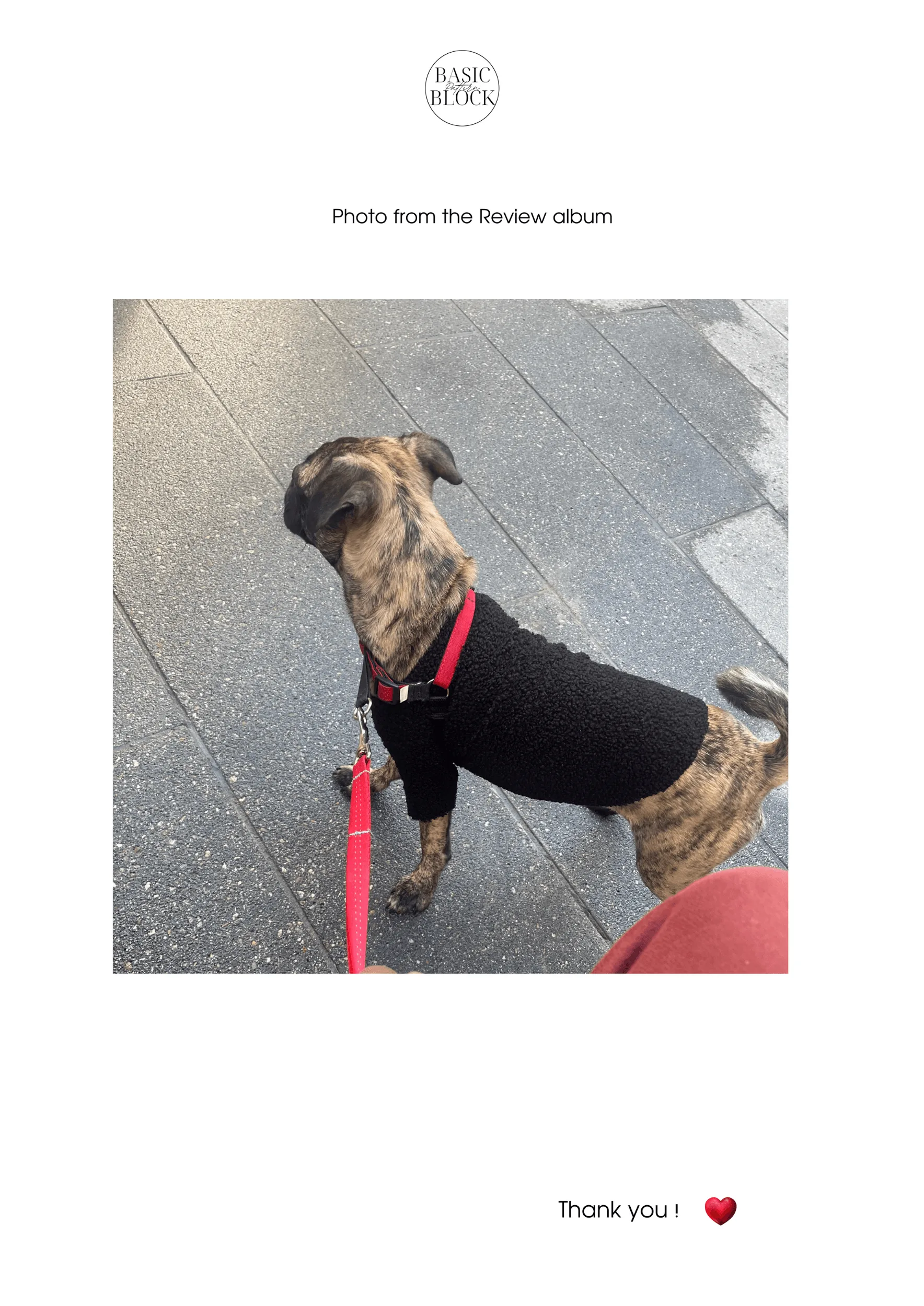 Dog Crewneck T-shirt Sewing Pattern | Knitted | XS-3XL - Basic Pattern Block